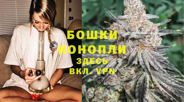 гашик Арсеньев