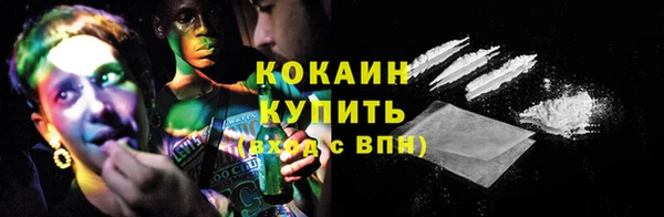 гашик Арсеньев