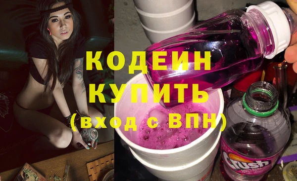 гашик Арсеньев