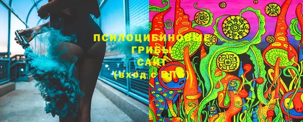 гашик Арсеньев