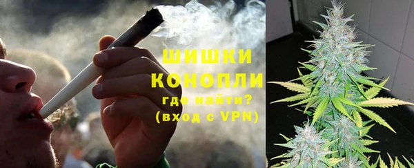 гашик Арсеньев